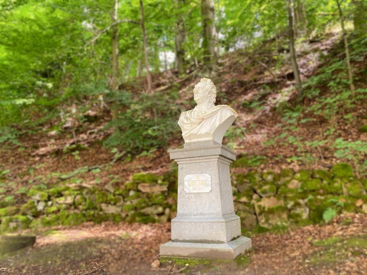 Apartmá Marie 1880 - POSLEDNÍ volné termíny Karlovy Vary Exteriér fotografie