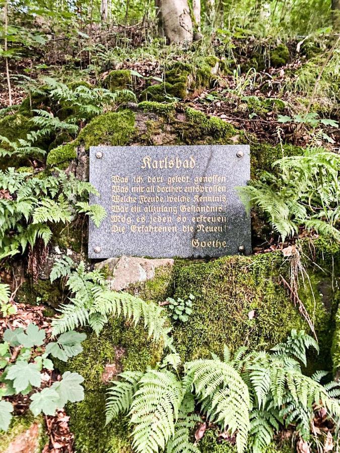 Apartmá Marie 1880 - POSLEDNÍ volné termíny Karlovy Vary Exteriér fotografie